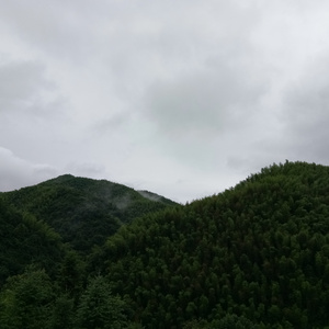 男女不雅视频软件
