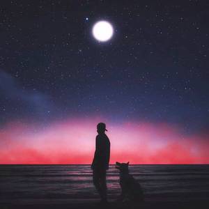 男女不雅视频软件
