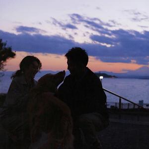 男女不雅视频软件
